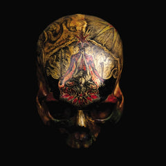 Blight - Temple Of Wounds - [Vinyl]