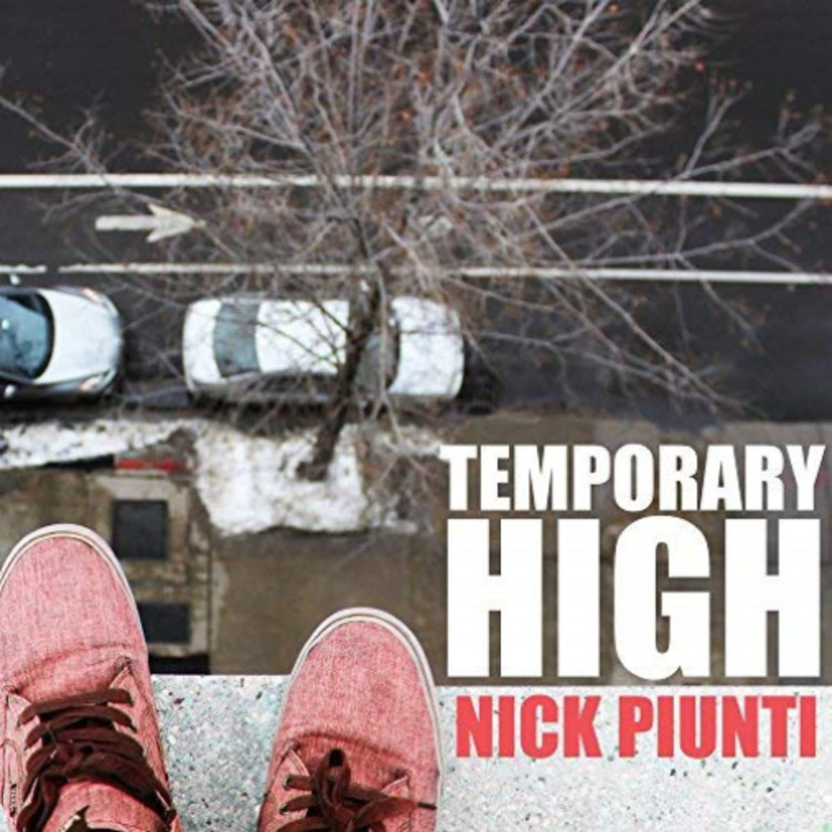 Nick Piunti - Temporary High - [Vinyl]