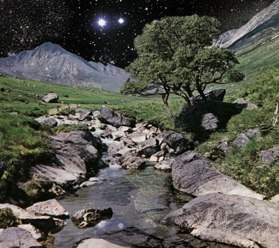 The Beta Band - The Beta Band - (Deluxe Edition, With CD) - [CD + Vinyl]