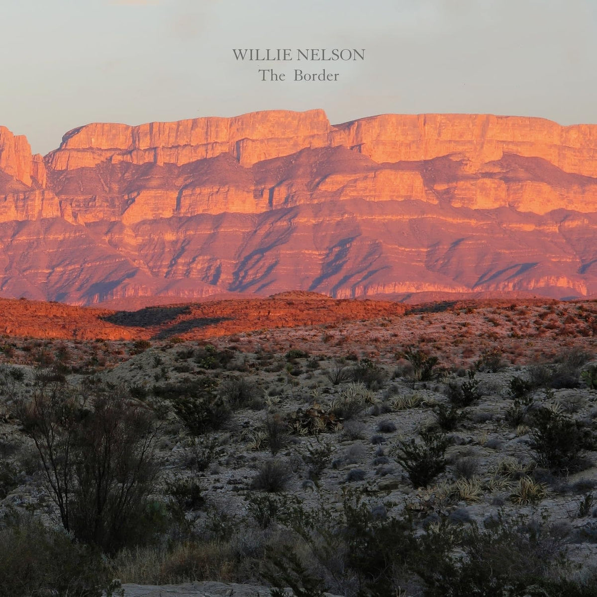 Willie Nelson - The Border - [Vinyl]