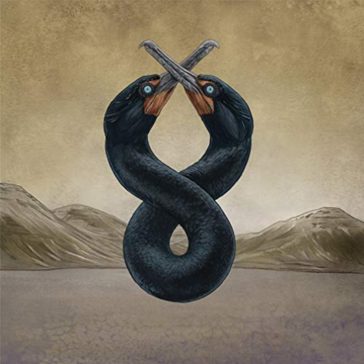 San Fermin - Cormorant I & II - (Gatefold LP Jacket) - [Vinyl]