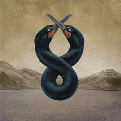 San Fermin - Cormorant I & II - (Gatefold LP Jacket) - [Vinyl]