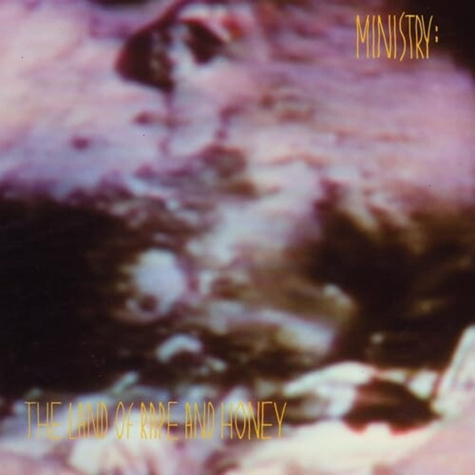 Ministry - The Land Of Rape And Honey - (Deluxe Edition, Brick & Mortar Exclusive) - [Vinyl]