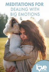 The Love Destination Courses: Meditations For Dealing With Big Emotions - [DVD]