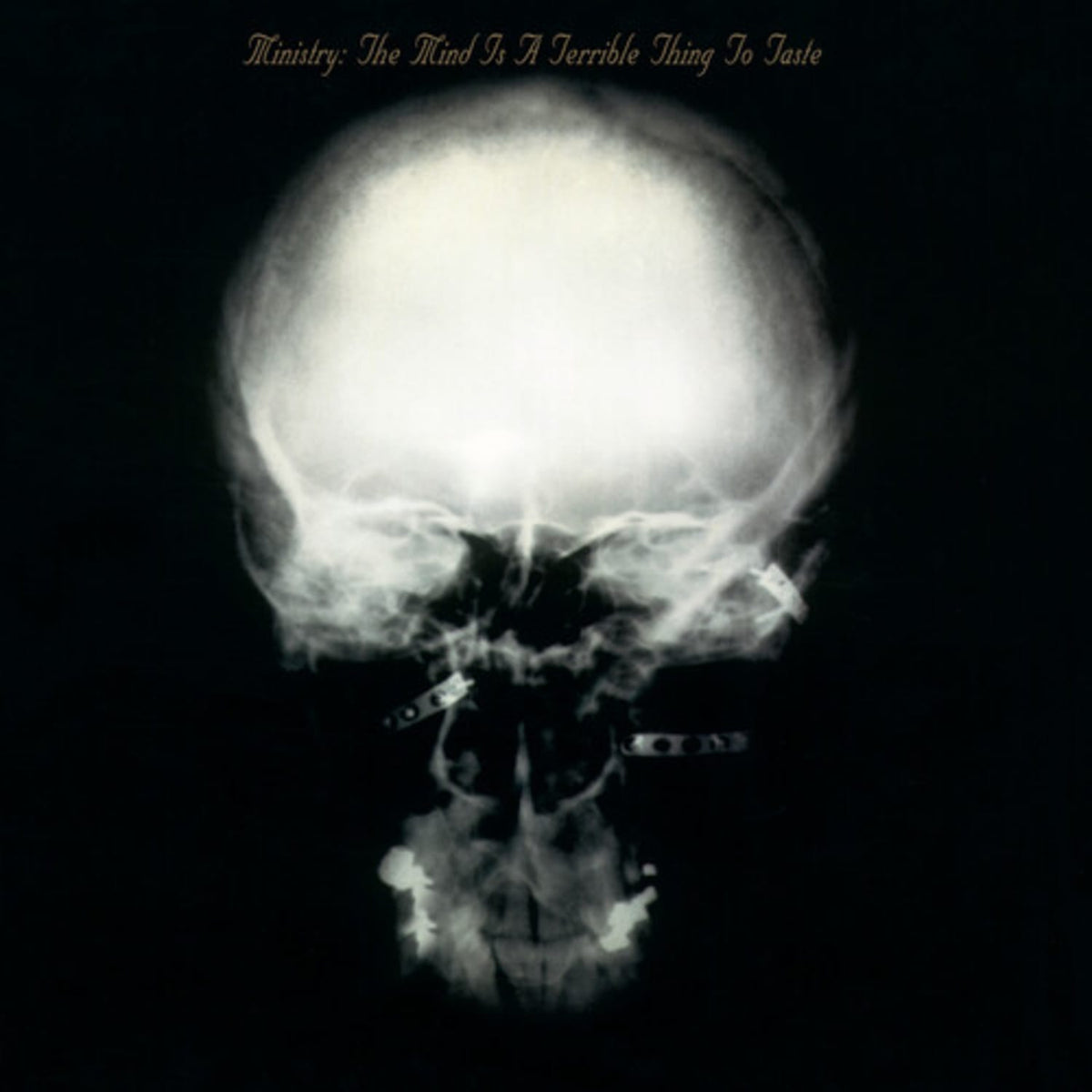Ministry - The Mind Is A Terrible Thing To Taste - (180 Gram Vinyl, Expanded Version) - [Vinyl]