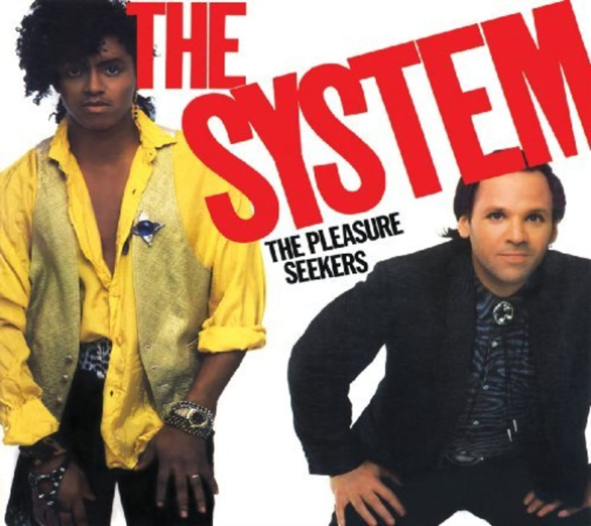 System - THE PLEASURE SEEKERS - [CD]