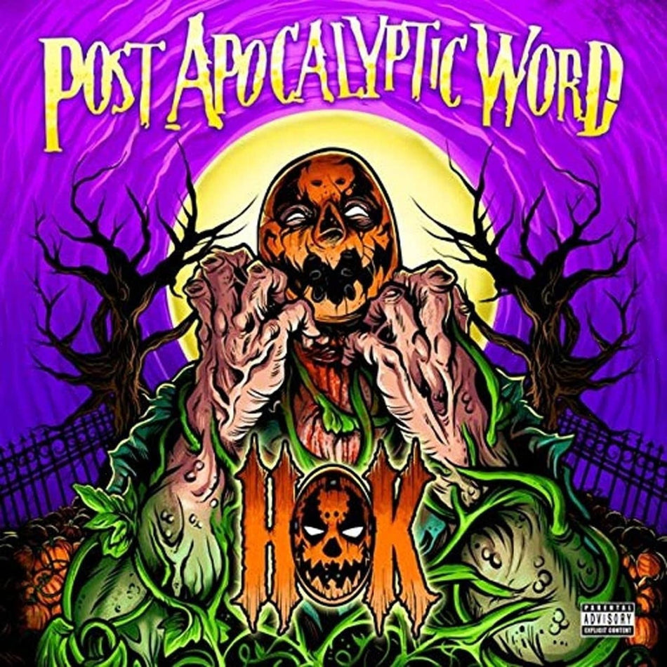 Hok - The Post Apocalyptic Word - [Vinyl]