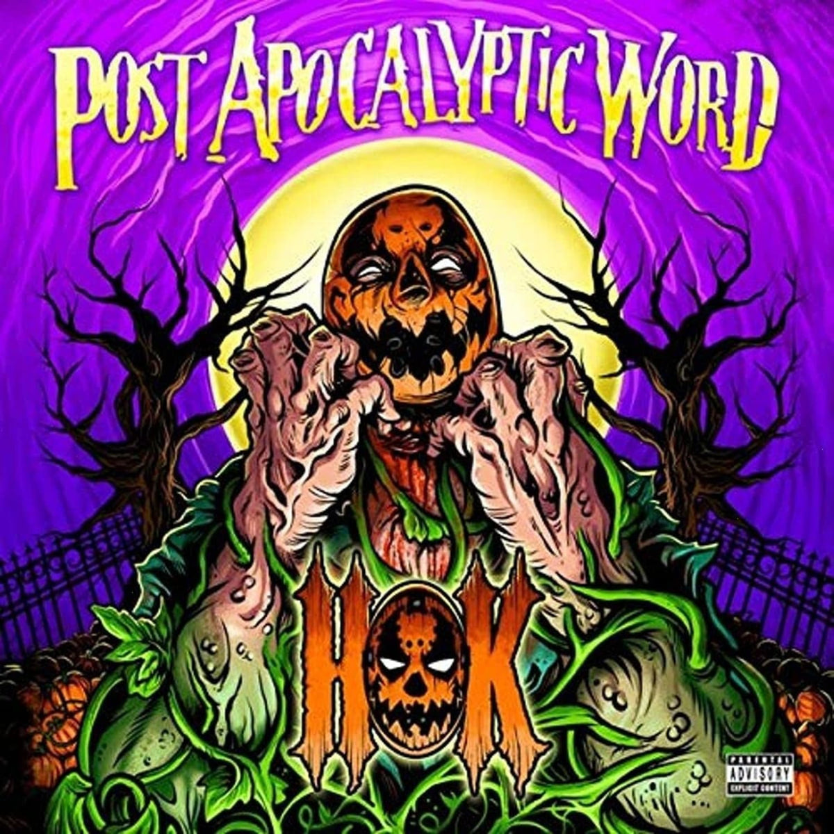 Hok - THE POST APOCALYPTIC WORD - [Vinyl]