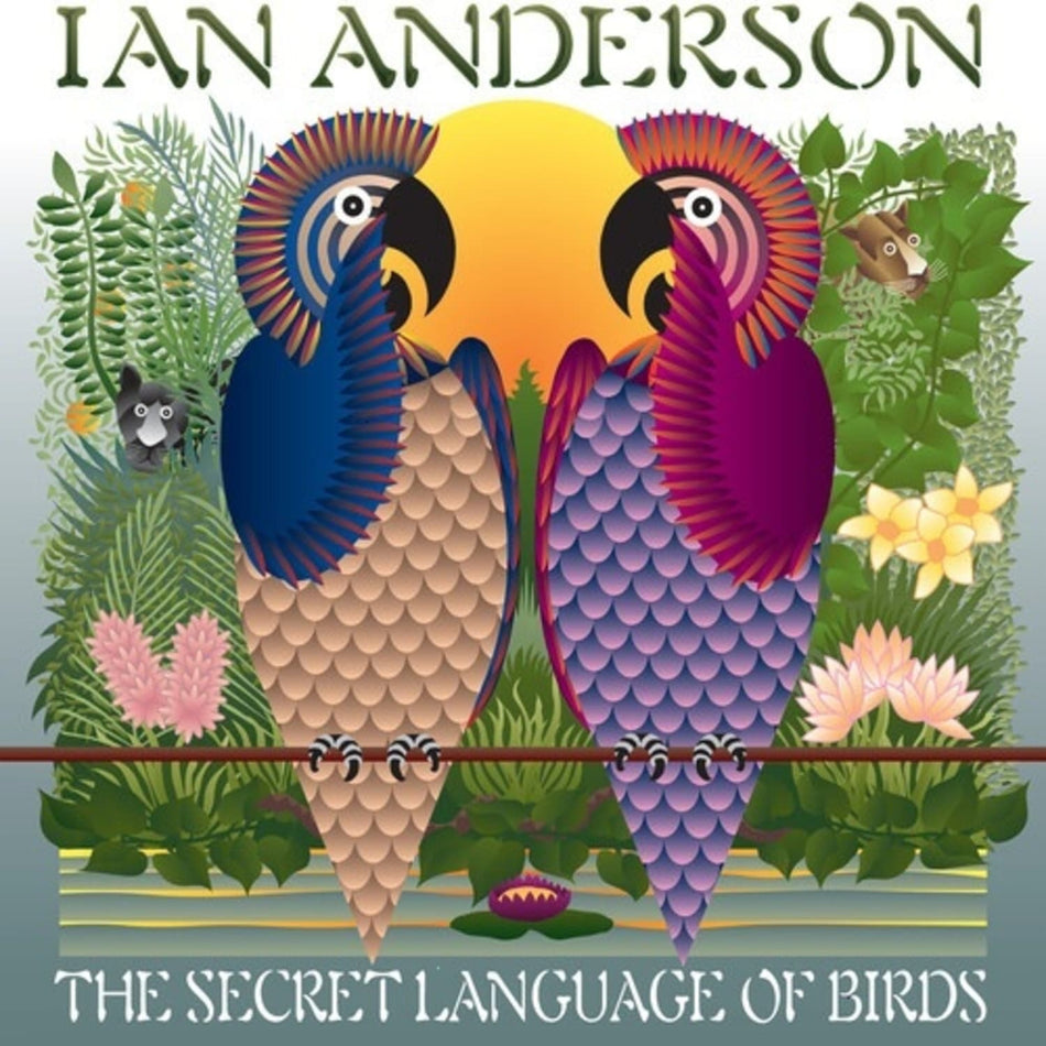 Ian Anderson - The Secret Language Of Birds - [Vinyl]