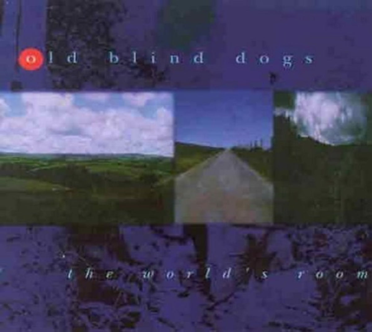 Old Blind Dogs - The World's Room - [CD]