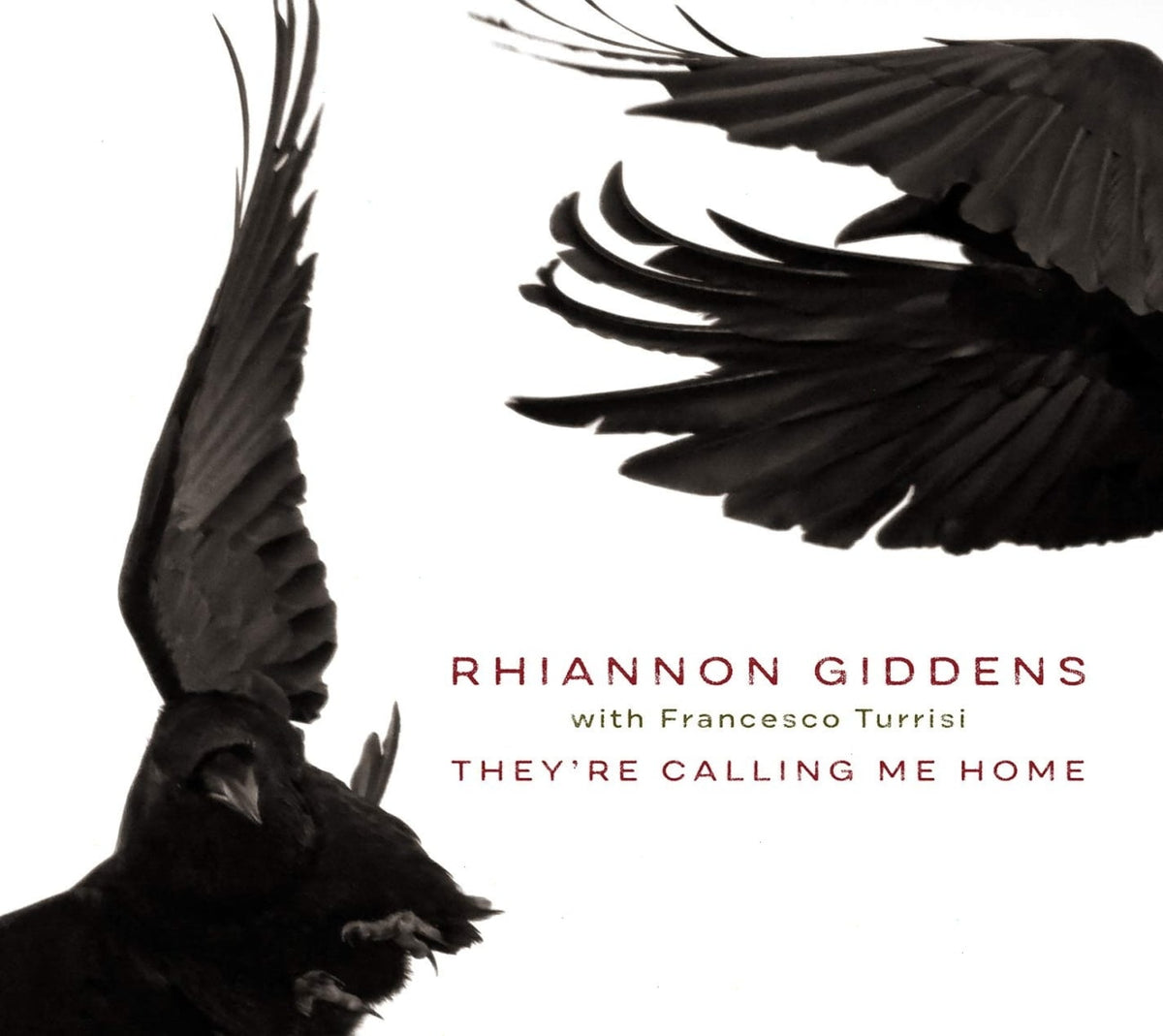 Rhiannon Giddens - They're Calling Me Home - [CD]