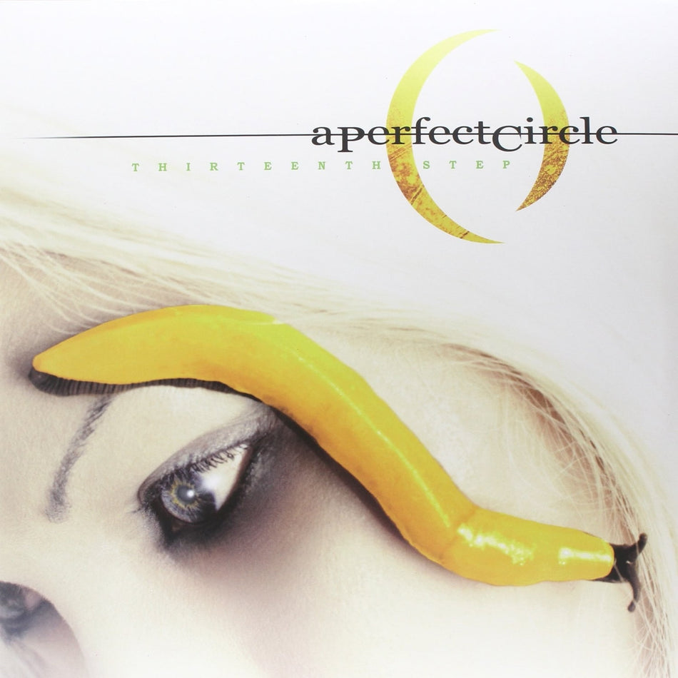 A Perfect Circle - Thirteenth Step - [Vinyl]
