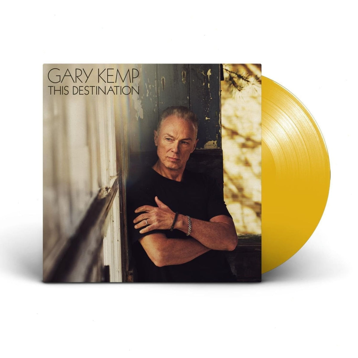 Gary Kemp - This Destination - [Vinyl]