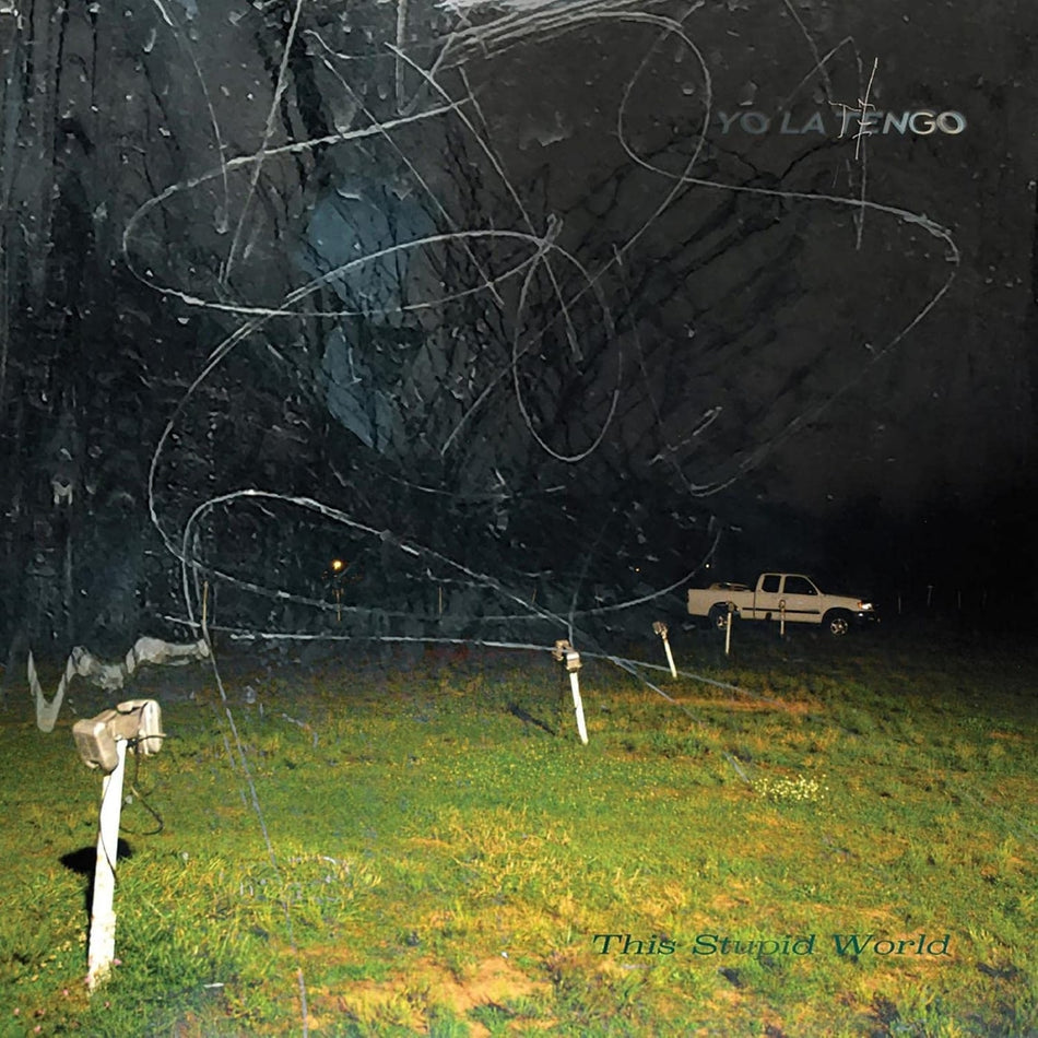 Yo La Tengo - This Stupid World - [Vinyl]