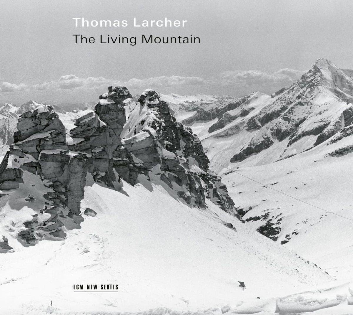 THOMAS LARCHER / SCHULDT / MUNICH CHAMBER ORC - Living Moutain - [CD]