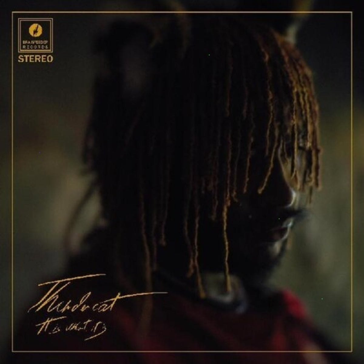 Thundercat - It Is What It Is - (Colored , Red, 140 Gram , Photo / Photo Card) - [Vinyl]