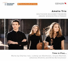 Amelio Trio - Time in Fluxâ¦ - (Amelio Trio) - [CD]