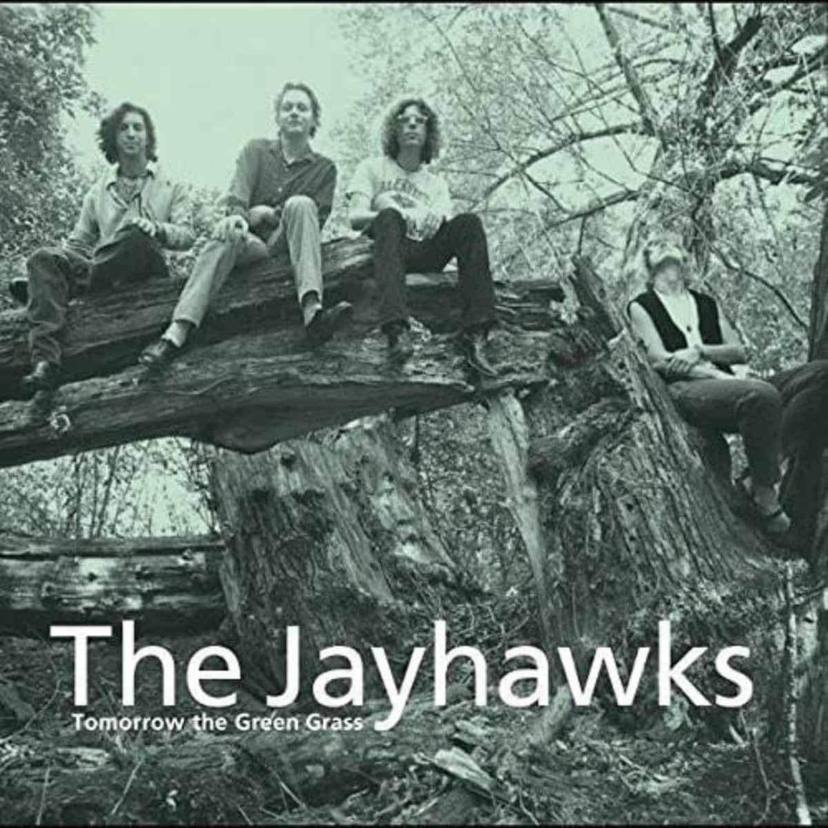 The Jayhawks - Tomorrow the Green Grass - [Vinyl]