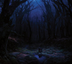 Woods of Desolation - Torn Beyond Reason - (Limited Edition, Digipack Packaging) - [CD]