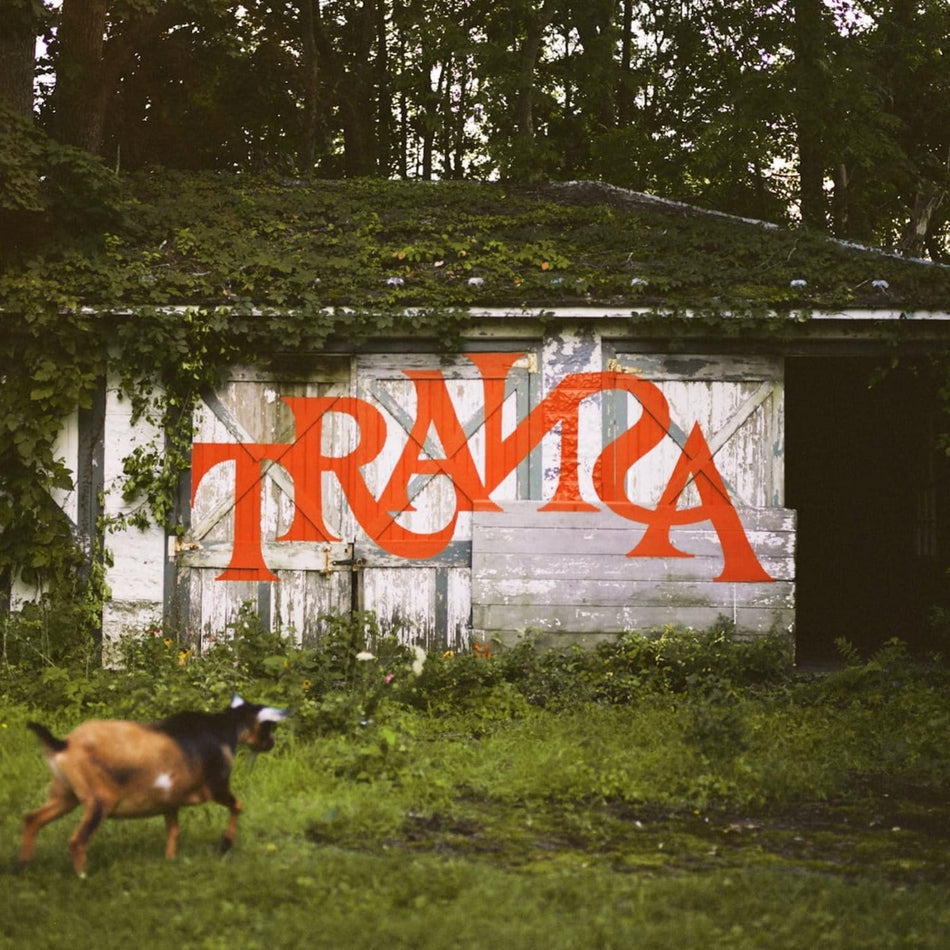 Various Artists - Transa (Various Artists) - (Deluxe Edition, Boxed Set, Photo Book, Digital Download Card) - [Vinyl]