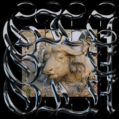 Gila - Trench Tones - (Limited Edition, Extended Play) - [Vinyl]