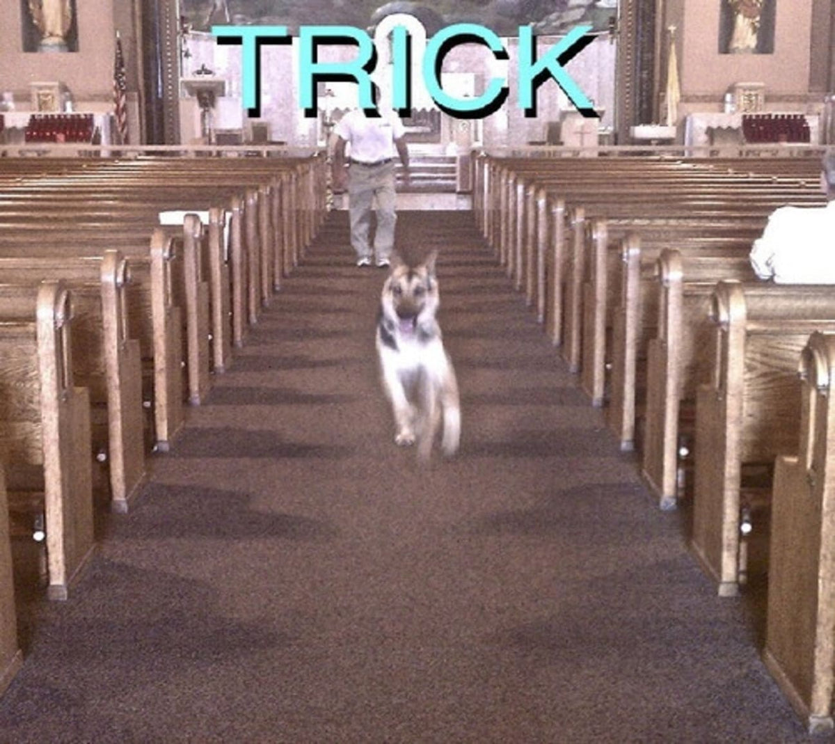 Alex G - Trick [Explicit Content] - (Parental Advisory Explicit Lyrics) - [CD]