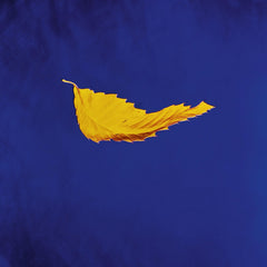 New Order - True Faith - (Remastered) - [Vinyl]