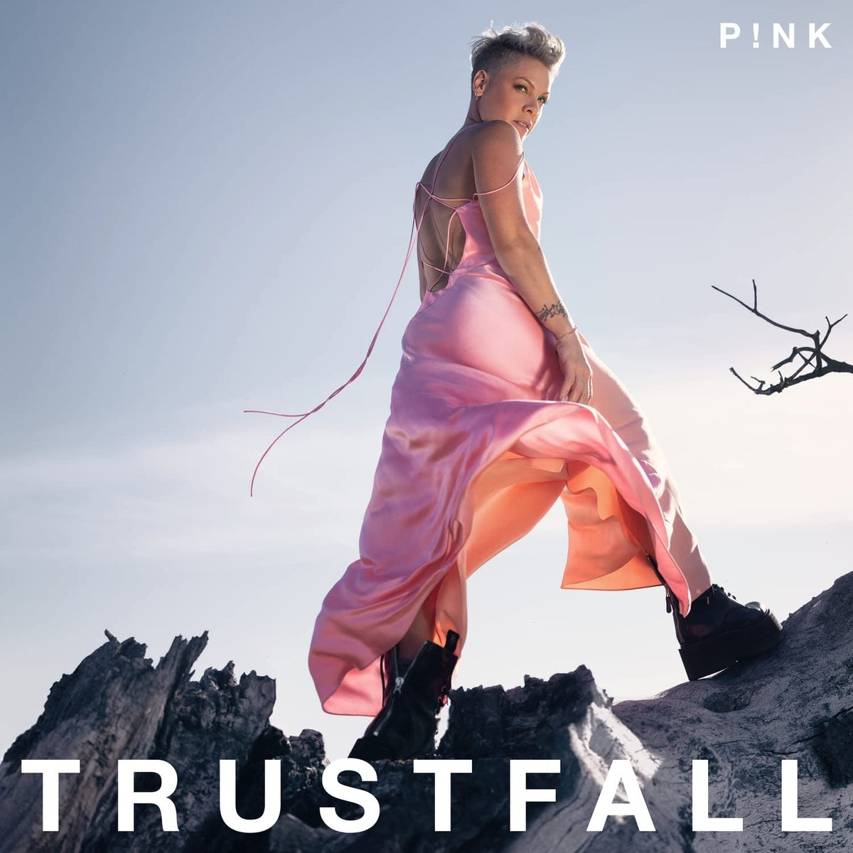 Pink - Trustfall (LP) [Explicit Content] - (Parental Advisory Explicit Lyrics, Booklet, Gatefold LP Jacket) - [Vinyl]