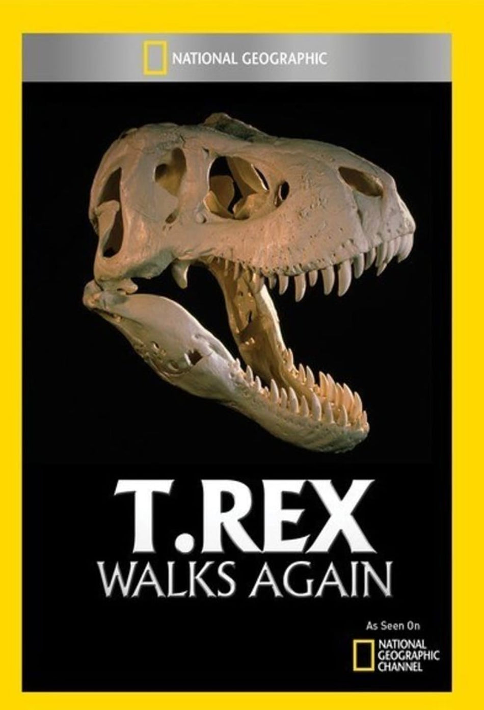 T Rex Walks Again - (NTSC Format) - [DVD]