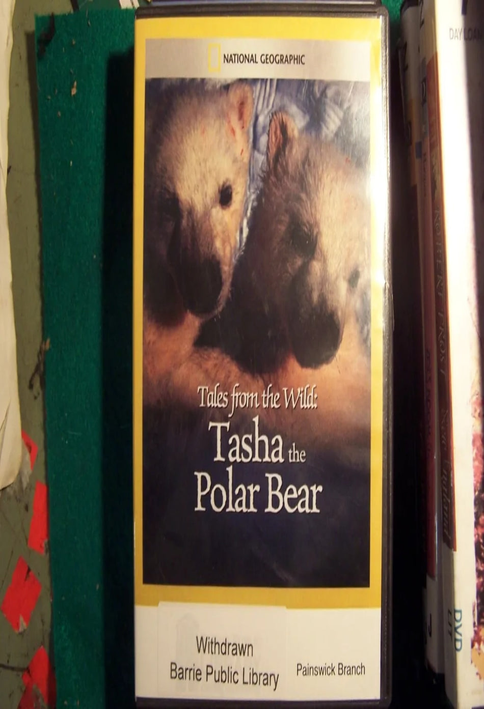 Tales From the Wild: Tasha the Polar Bear - (NTSC Format) - [DVD]