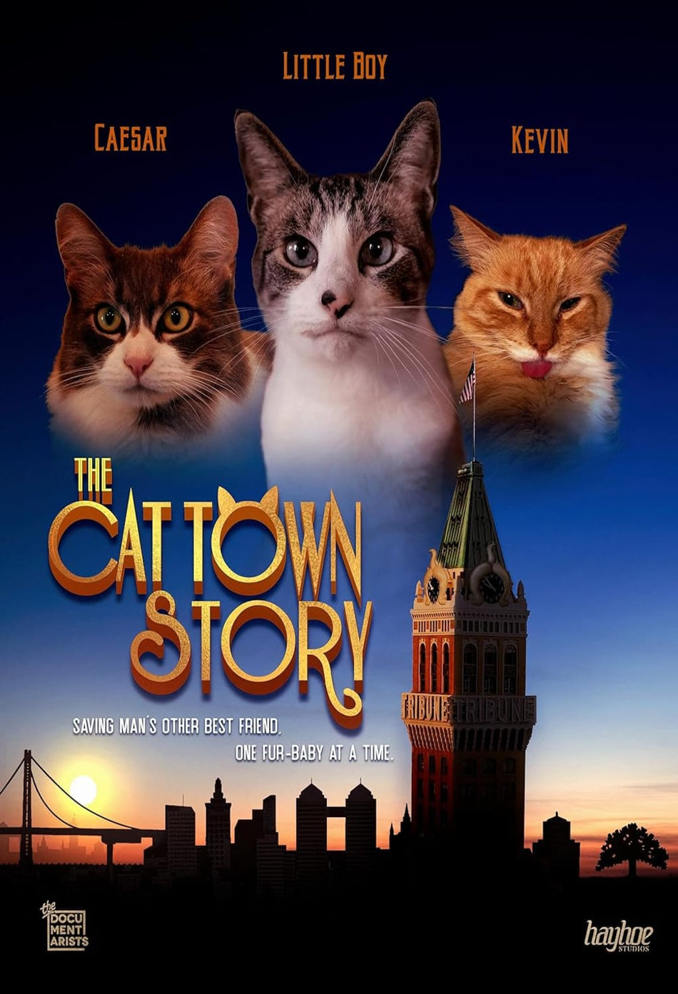The Cat Town Story - [DVD]
