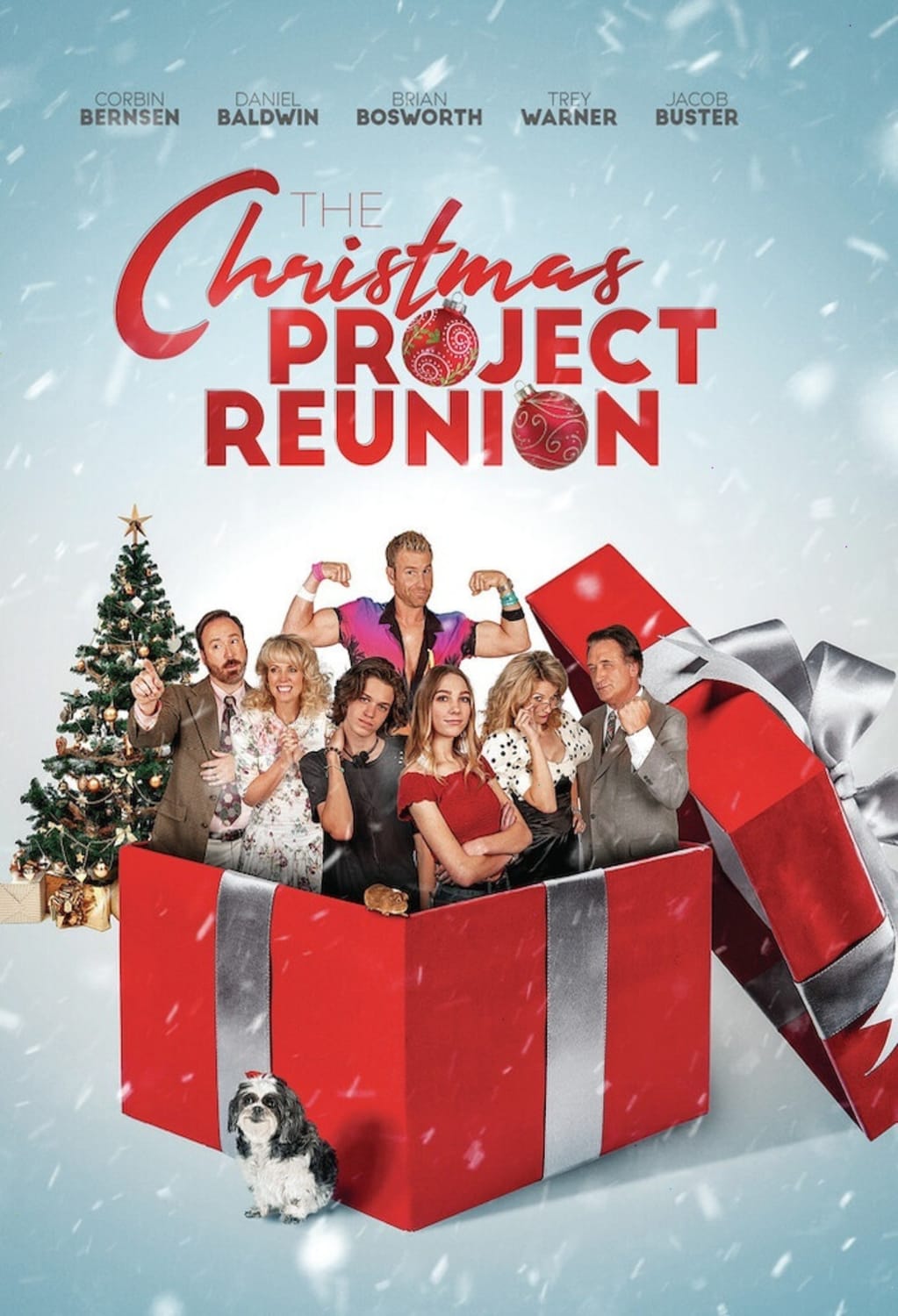 The Christmas Project Reunion - [DVD]
