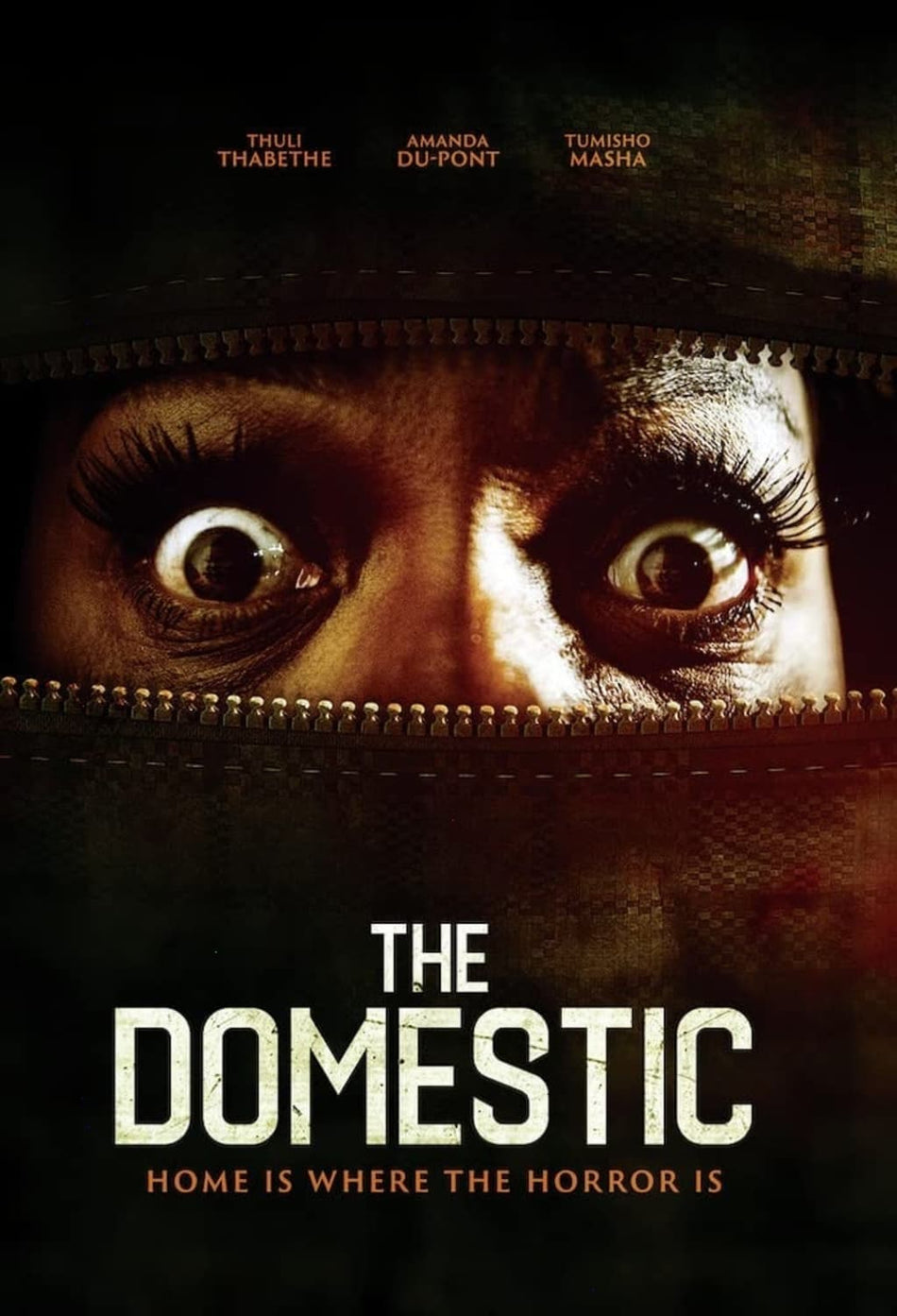 The Domestic - (Dolby, AC-3) - [DVD]
