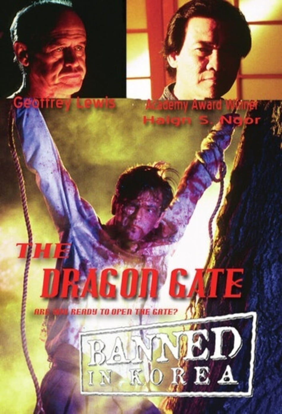 The Dragon Gate - [DVD]