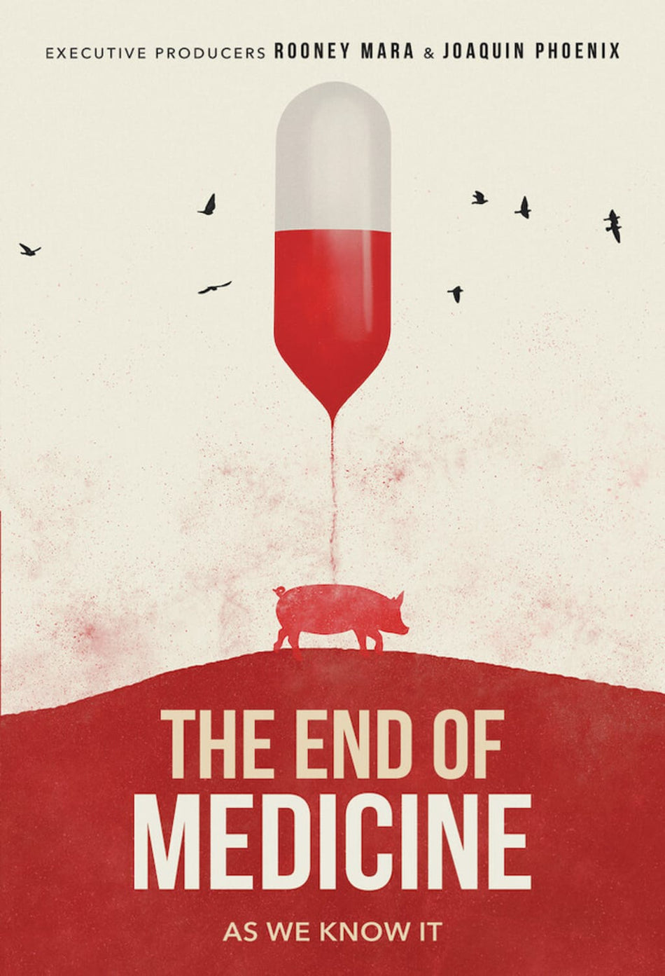 The End of Medicine - [DVD]