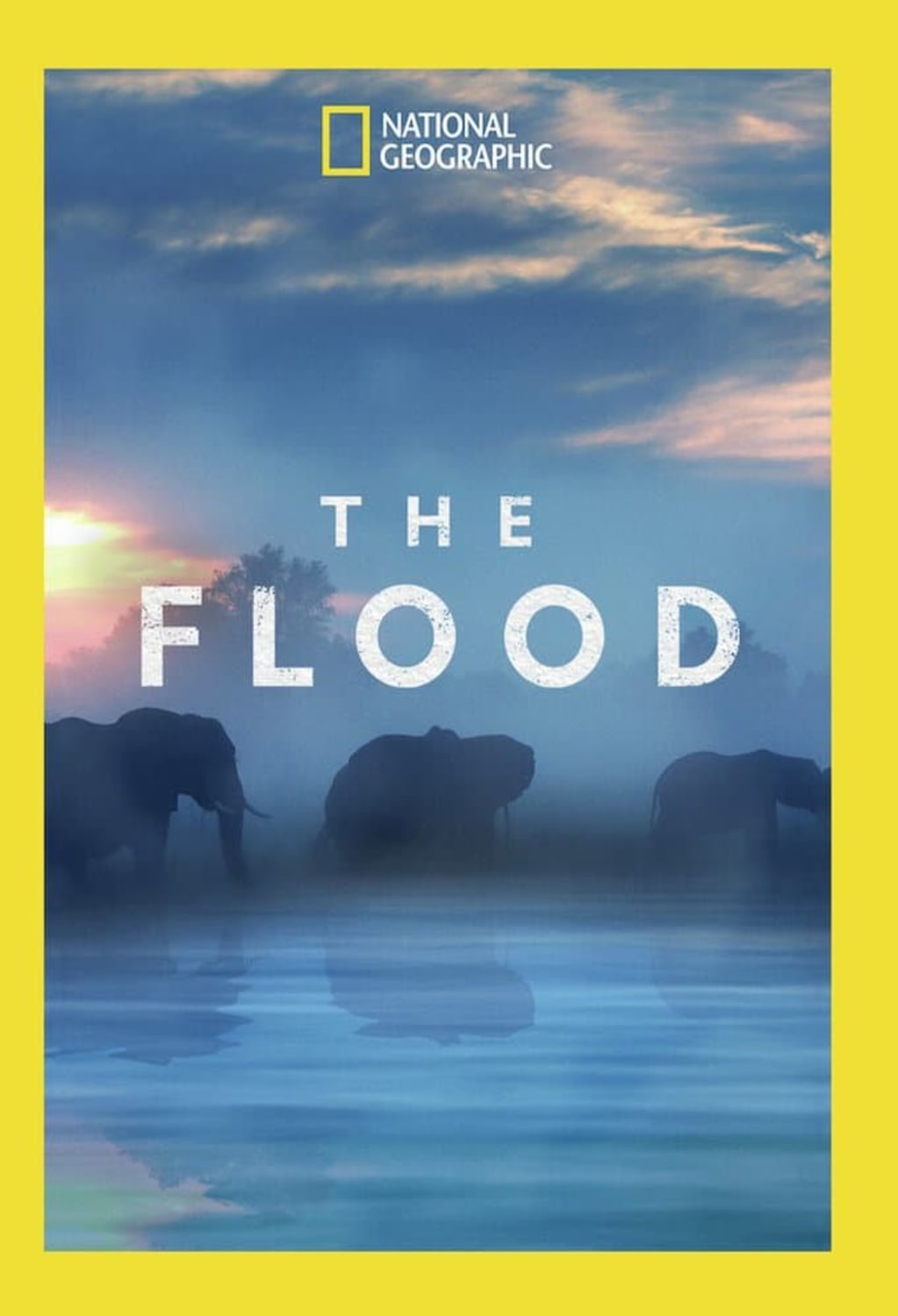 The Flood - (Widescreen, Dolby, AC-3, NTSC Format) - [DVD]