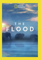 The Flood - (Widescreen, Dolby, AC-3, NTSC Format) - [DVD]