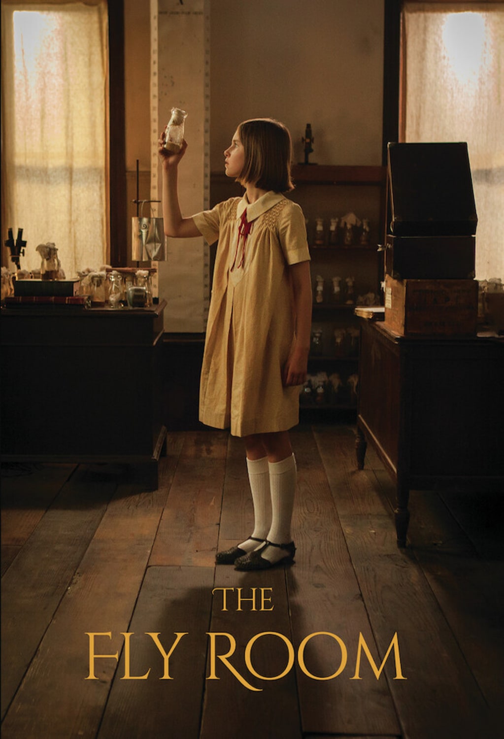 The Fly Room - [DVD]