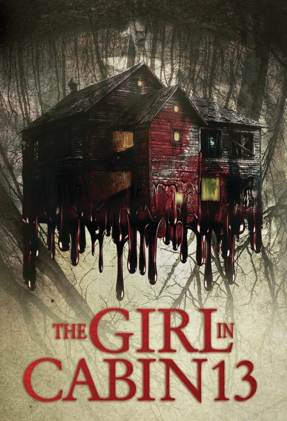 The Girl In Cabin 13 - (Subtitled) - [DVD]
