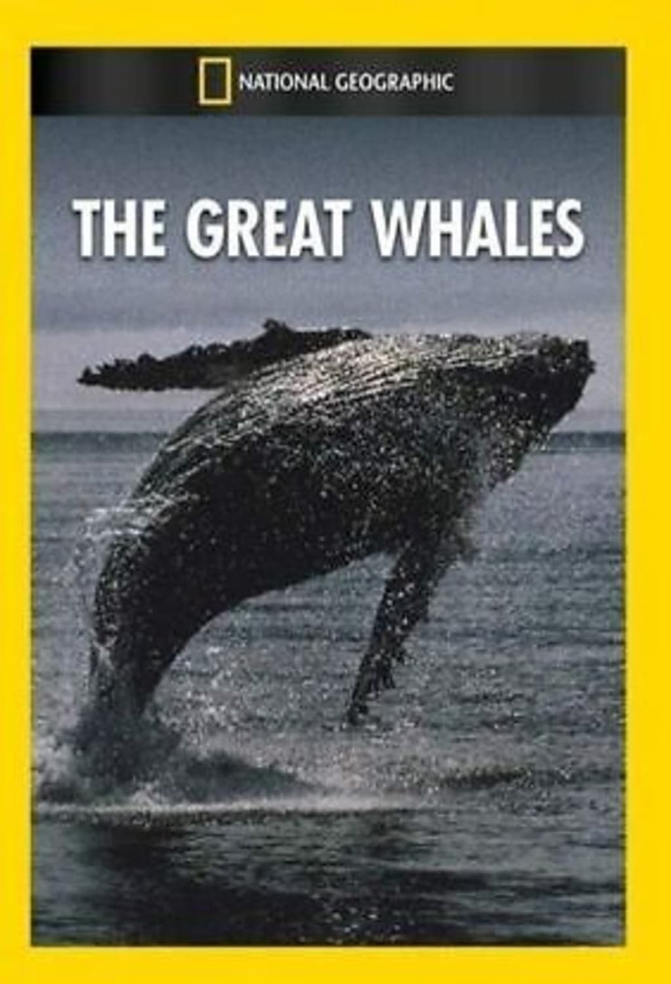 Great Whales - (NTSC Format) - [DVD]
