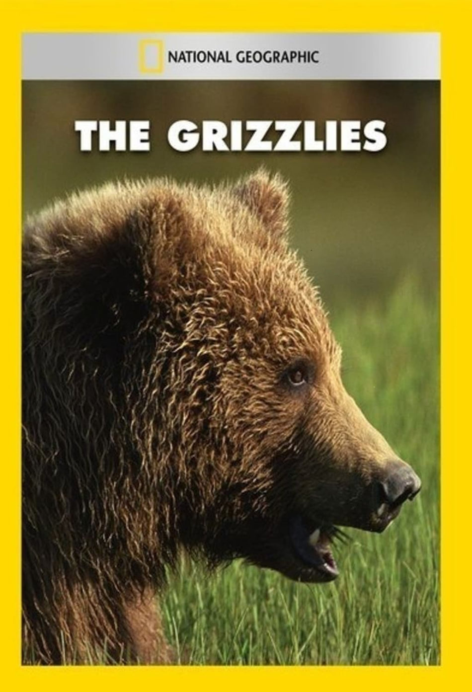 Grizzlies - (NTSC Format) - [DVD]