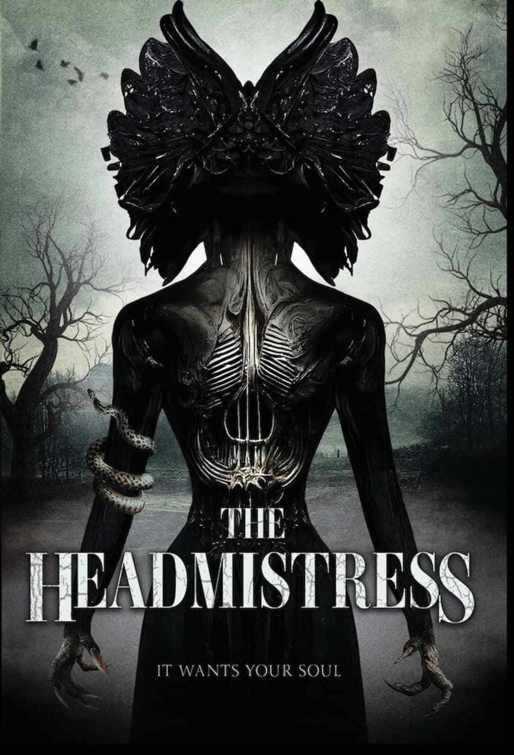 The Headmistress - (Dolby, AC-3) - [DVD]