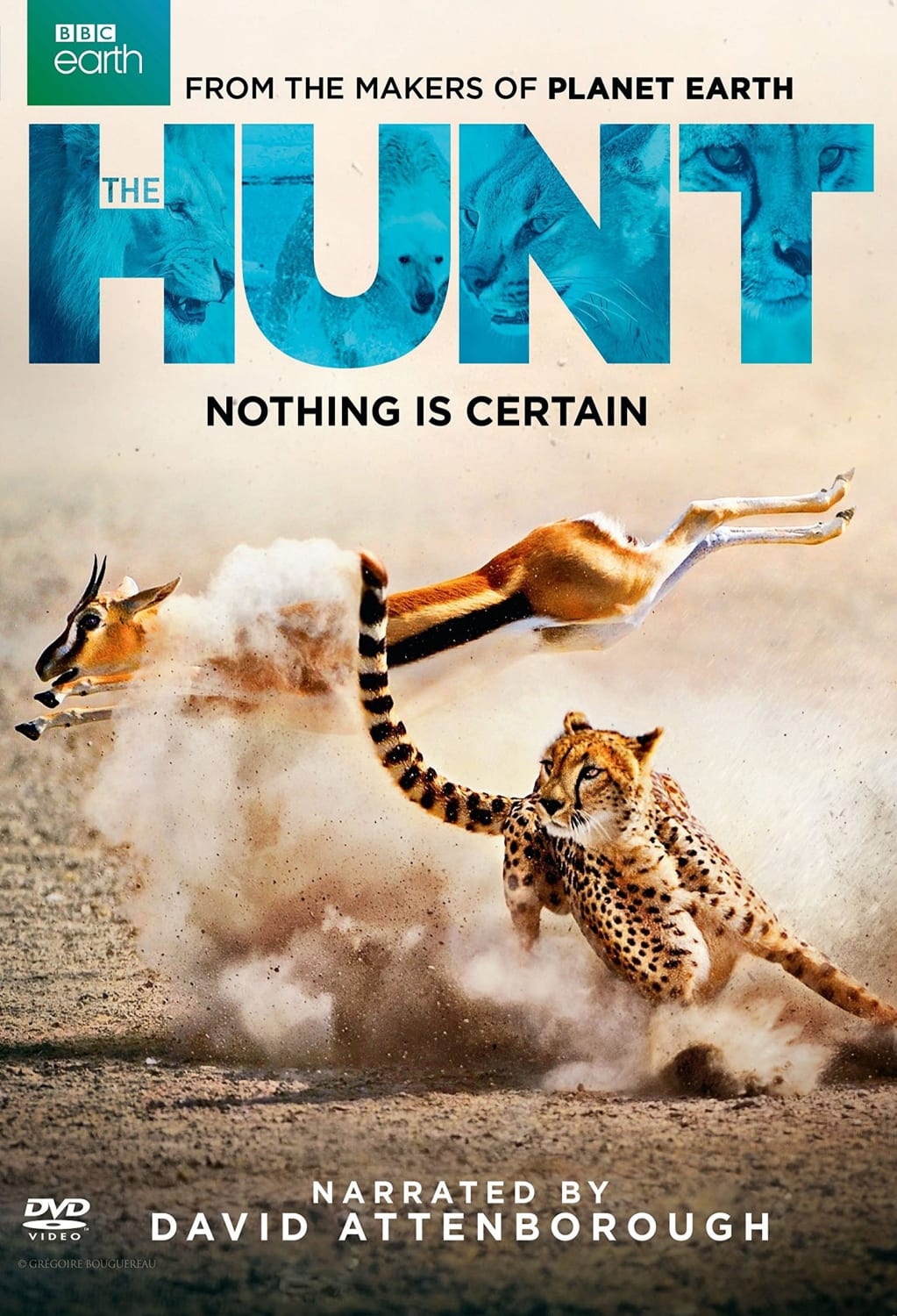 The Hunt - [DVD]