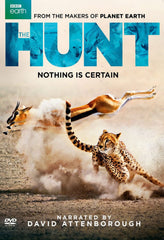 The Hunt - [DVD]