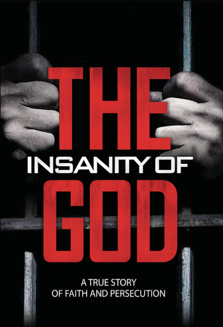 The Insanity of God - [DVD]