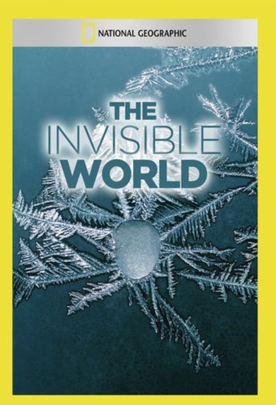 Invisible World - (NTSC Format) - [DVD]