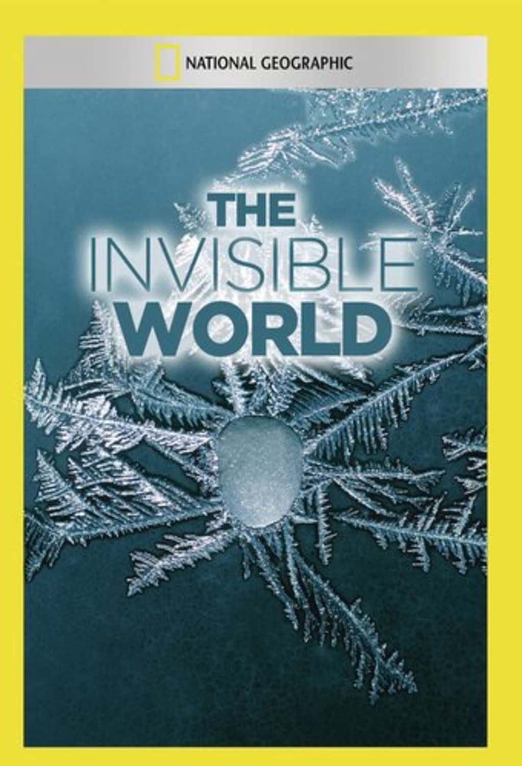 Invisible World - (NTSC Format) - [DVD]
