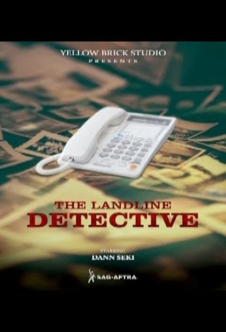 The Landline Detective - [DVD]