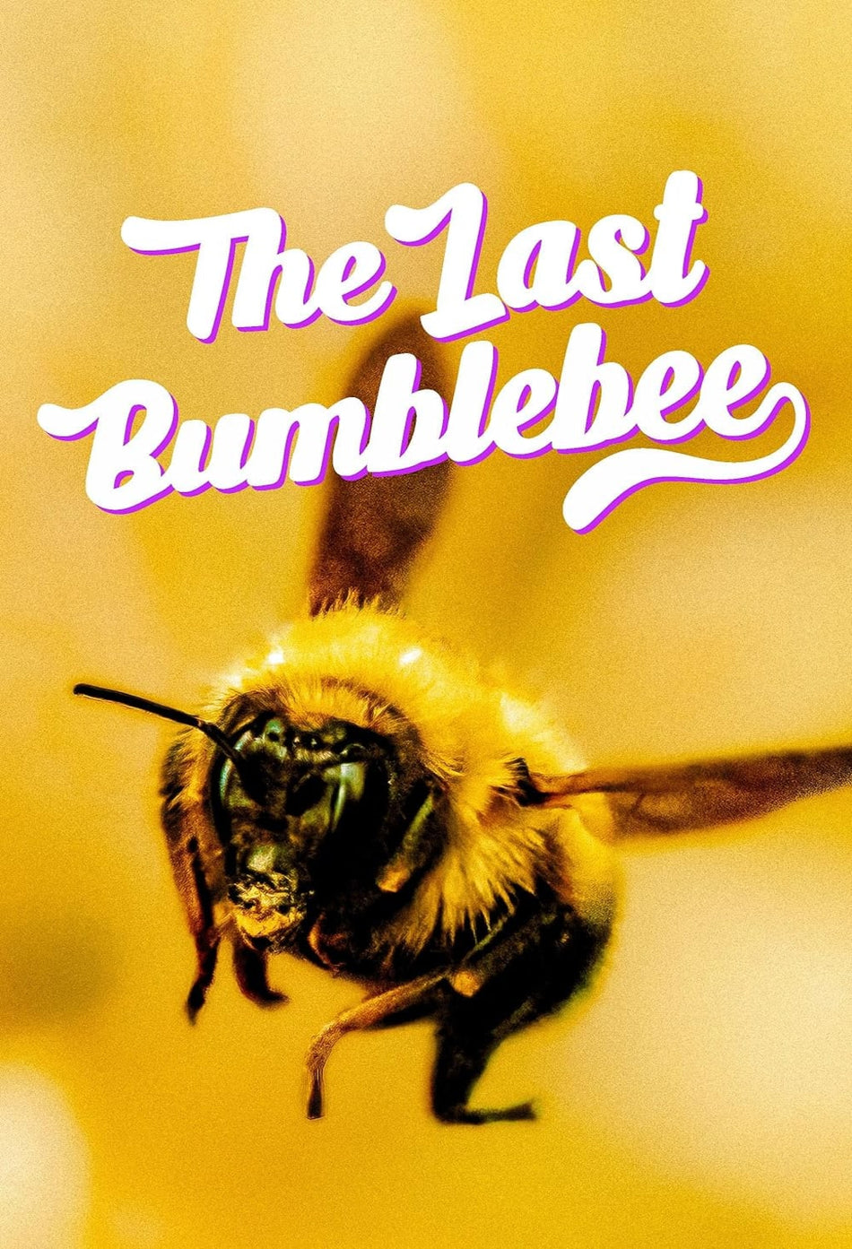 The Last Bumblebee - (Dolby, AC-3) - [DVD]