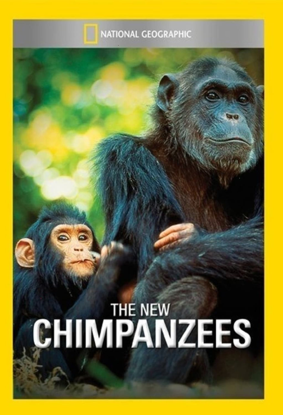 New Chimpanzees - (NTSC Format) - [DVD]